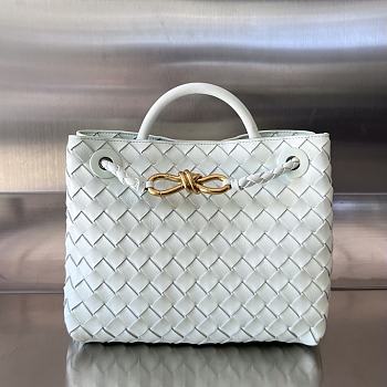 Bottega Veneta Small Andiamo Intrecciato - 25x22x10cm