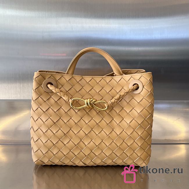 Bottega Veneta Small Andiamo A648534 - 25x22x10.5cm - 1