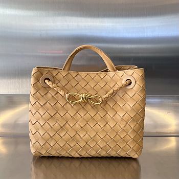 Bottega Veneta Small Andiamo A648534 - 25x22x10.5cm