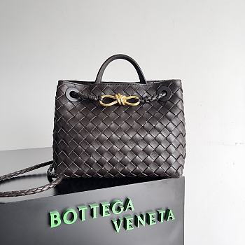 Bottega Veneta Small Andiamo BB - 25x22x10.5cm