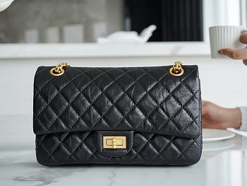 Chanel Aged Calfskin Quilted Reissure Flap - 24x16x7.5cm
