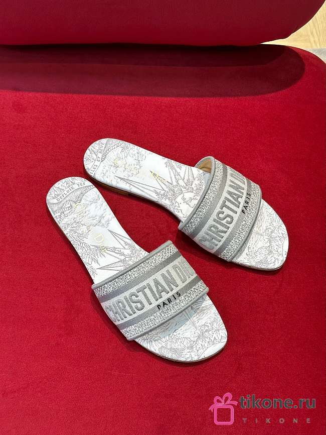 Dior SS23 Slippers V122847 - 1