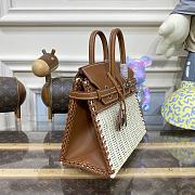 Hermes 25 Birkin Picnic Barenia - 5