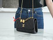 Chanel Handbag Chain Lion Bag - 10x17.2x3.3cm - 5