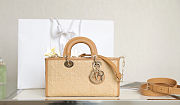 Dior Lady Horizontal Raffia Bag - 26x13.5x5cm - 1