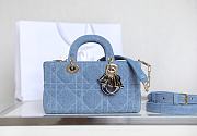 DIOR LADY| D-JOY BAG A429981 - 26x13.5x5cm - 1