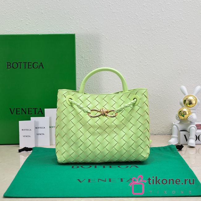 Bottega Veneta Small Andiamo A692085 - 25x22x10.5cm - 1