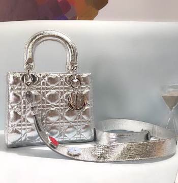 DIOR| Lady Sac D-Joy Silver Bag With Color Chain - 20x17x9cm
