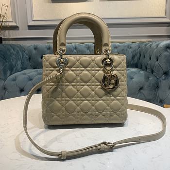 Dior Lady Mode Beige Bag - 24x12x20cm