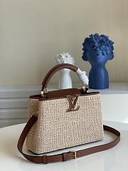 Louis Vuitton Raffia Capucines Brown Leather - 27x18x9cm - 5