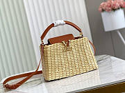 Louis Vuitton Capucine Straw Brown Bag - 27x20x9cm - 1