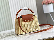 Louis Vuitton Capucine Straw Brown Bag - 27x20x9cm - 3