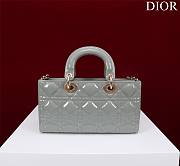 Dior D-Joy Fantatis Gray - 26x13.5x5cm - 3