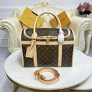 Louis Vuitton Dog Carrier - 40x21x31cm - 1