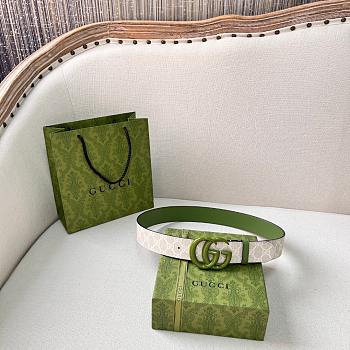 Gucci Belt In White&Green Width 4cm