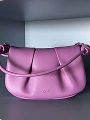 Loewe Paseo Pink Bag - 25x8x17cm - 1