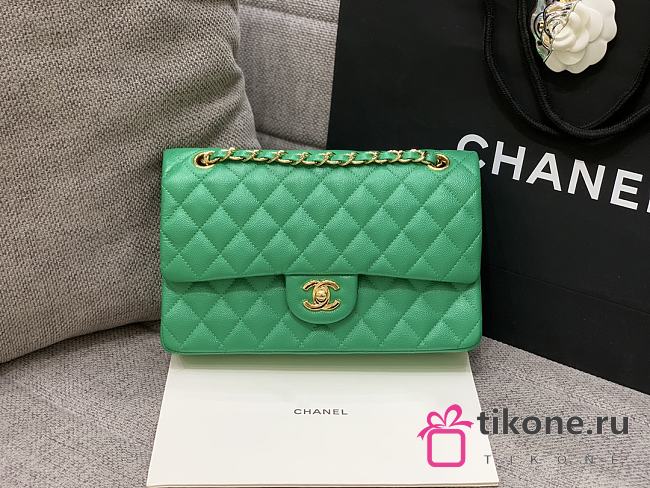 Chanel 25 Classic Caviar In Light Green - 1