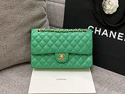 Chanel 25 Classic Caviar In Light Green - 1