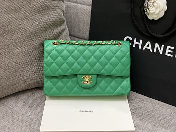 Chanel 25 Classic Caviar In Light Green