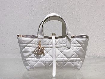 Dior Mini Toujours Bag - 23x15x15cm