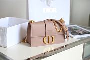 DIOR| 30 Montaigne Print Pink - 24x17x8cm - 1