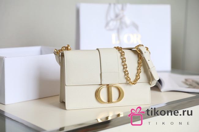 DIOR| 30 Montaigne White - 24x17x8cm - 1