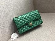 Chanel CF25 Green Light Hardware - 1