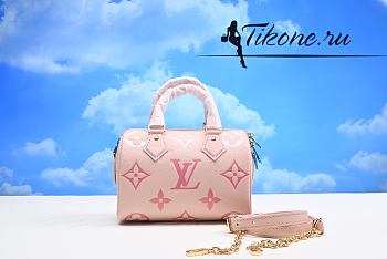 Louis Vuitton Speedy Pink 25cm