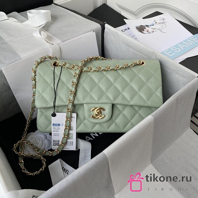 Chanel CF25 Mint Caviar Gold Hardware - 1