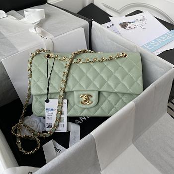 Chanel CF25 Mint Caviar Gold Hardware