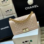 Chanel Classic Leboy Nude Pink Bag 25cm - 1