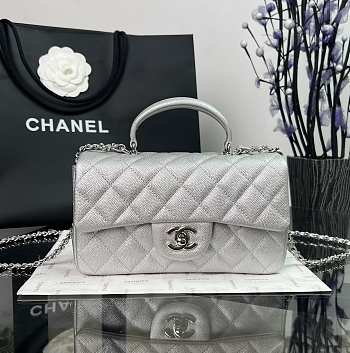 Chanel Classic Silver Caviar Top Handles - 20×14×7cm