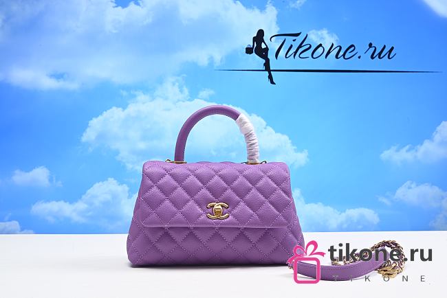 Chanel Coco Handle Purple Caviar Leather Bag 24cm - 1