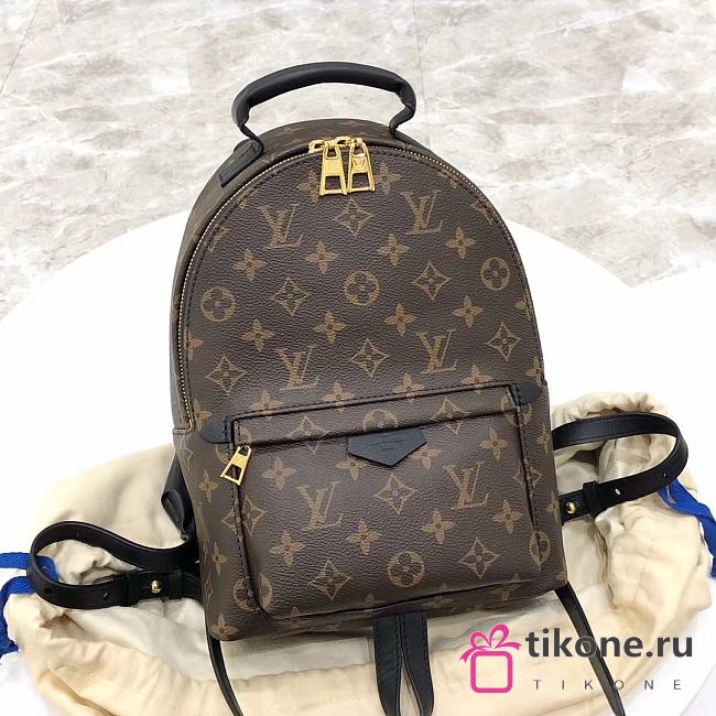 Louis Vuitton Palm Springs Backpack M44871 - 22x29x10cm - 1