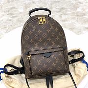 Louis Vuitton Palm Springs Backpack M44871 - 22x29x10cm - 1
