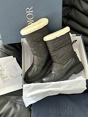 Dior Frozen Ankle Boots - 4