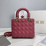 Dior Lady Pink Lambskin Leather Handbag - 24x20x11cm - 2