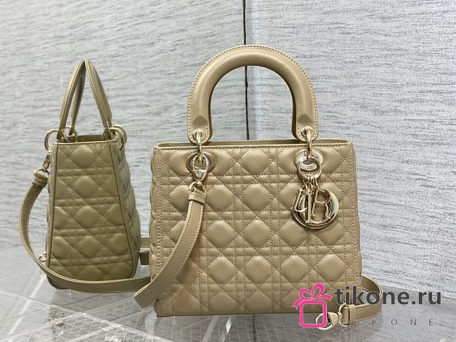 Dior Lady Medium In Beige Gold Hardware - 1