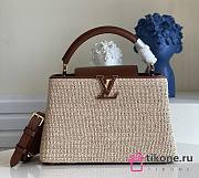 Louis Vuitton Larger Raffia Capucines Brown Leather - 31.5x20x11cm - 1