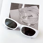 Celine Glasses 02 - 1