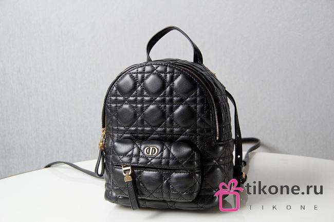 Dior Classic Black Backpack - 16x21x8.5cm - 1