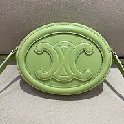  Celine Triomphe Oval Purse Crossbody Light Jade - 16x12.5x4cm - 1