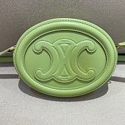  Celine Triomphe Oval Purse Crossbody Light Jade - 16x12.5x4cm - 5