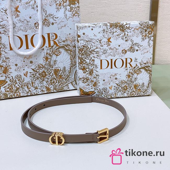 Dior Saddle Reversible Brown Belt - 1