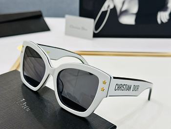 Dior Sunglasses 01