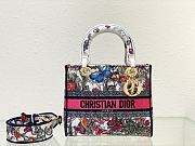 Dior Lady D-Lite Mexico Millefiori Bag - 24x20x11cm - 1