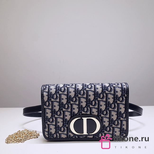 Dior 30 Montaigne Pouch Canvas Blue Bag - 19x12.5x4cm - 1