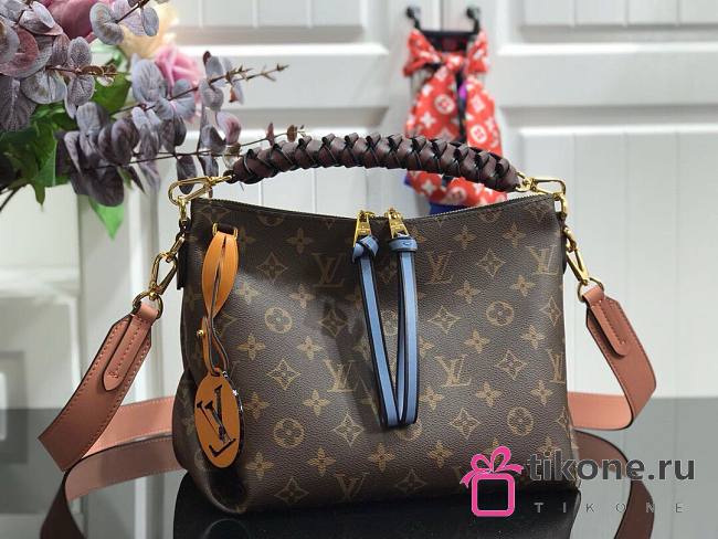 Louis Vuitton Beaubourg Hobo Mini Monogram Brown Bag - 25x21x15cm - 1