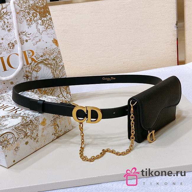 Dior Saddle Removable Pouch Belt W2cm - 1