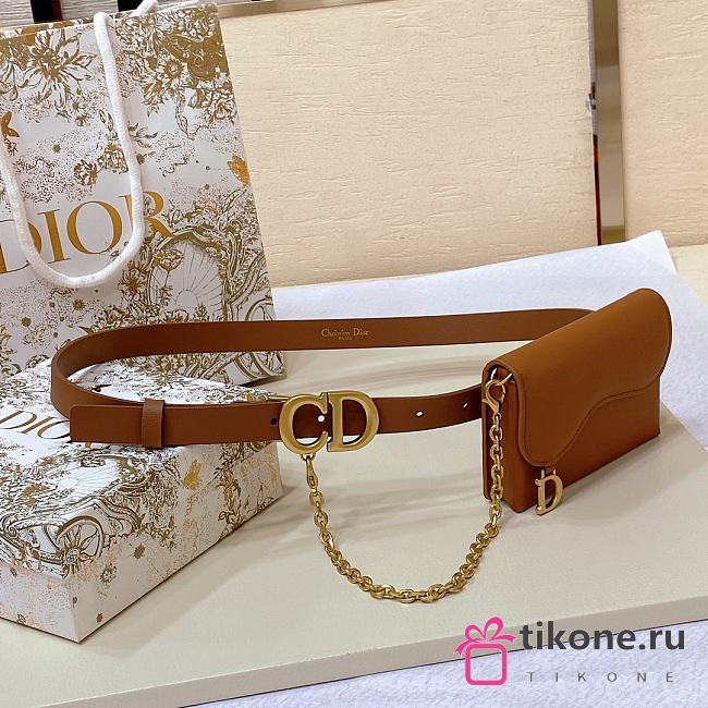 Dior Brown Saddle Removable Pouch Belt W2cm - 1